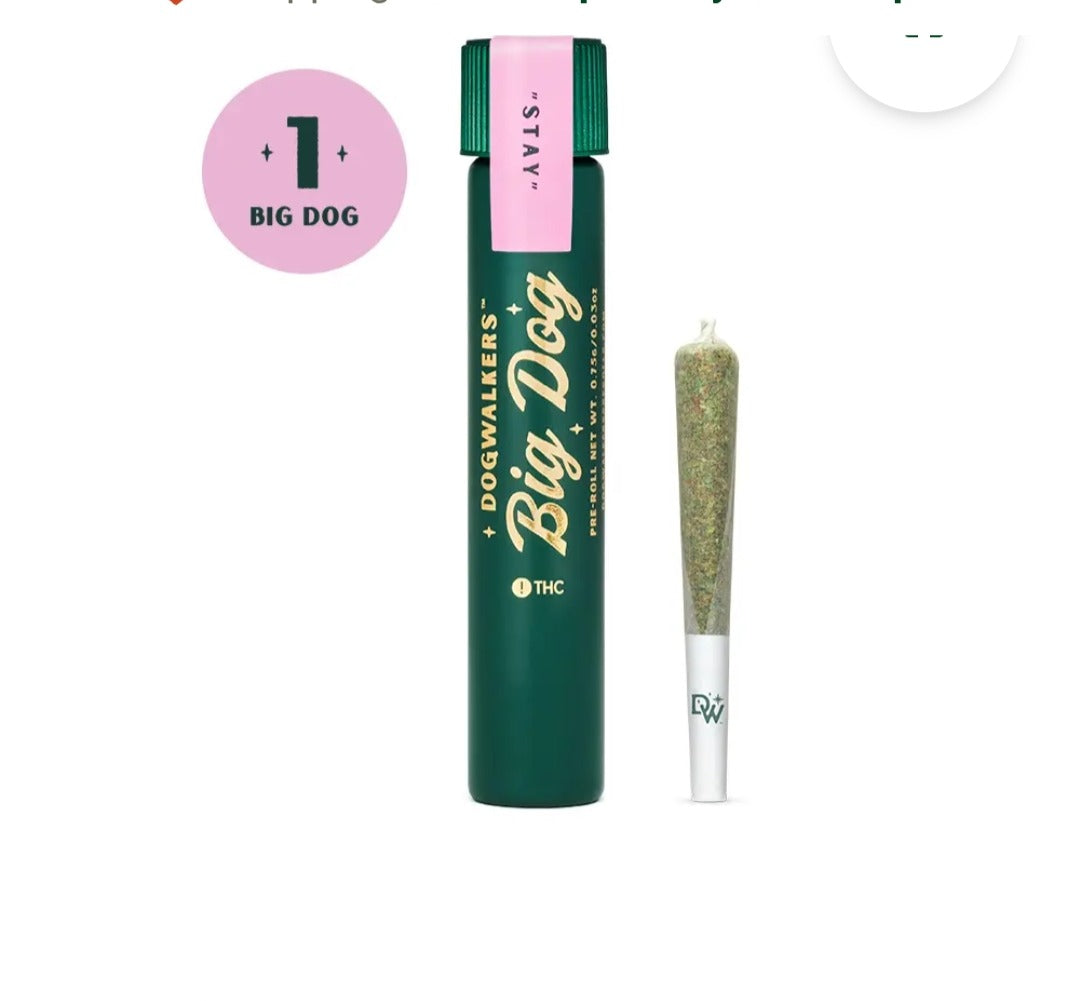 Dogwalkers Afternoon Delight 